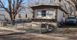 907 North Atkinson (Mobile Home) #34
