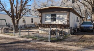 907 North Atkinson (Mobile Home) #34